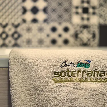 Apartamentos En El Corazon De Avila By Alterhome Buitenkant foto